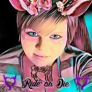 Meet your Posher, Harley